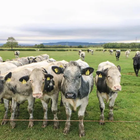 The Σπίτι διακοπών Northallerton