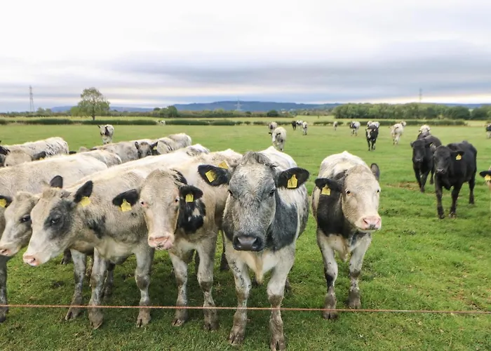 The Ferienhaus Northallerton